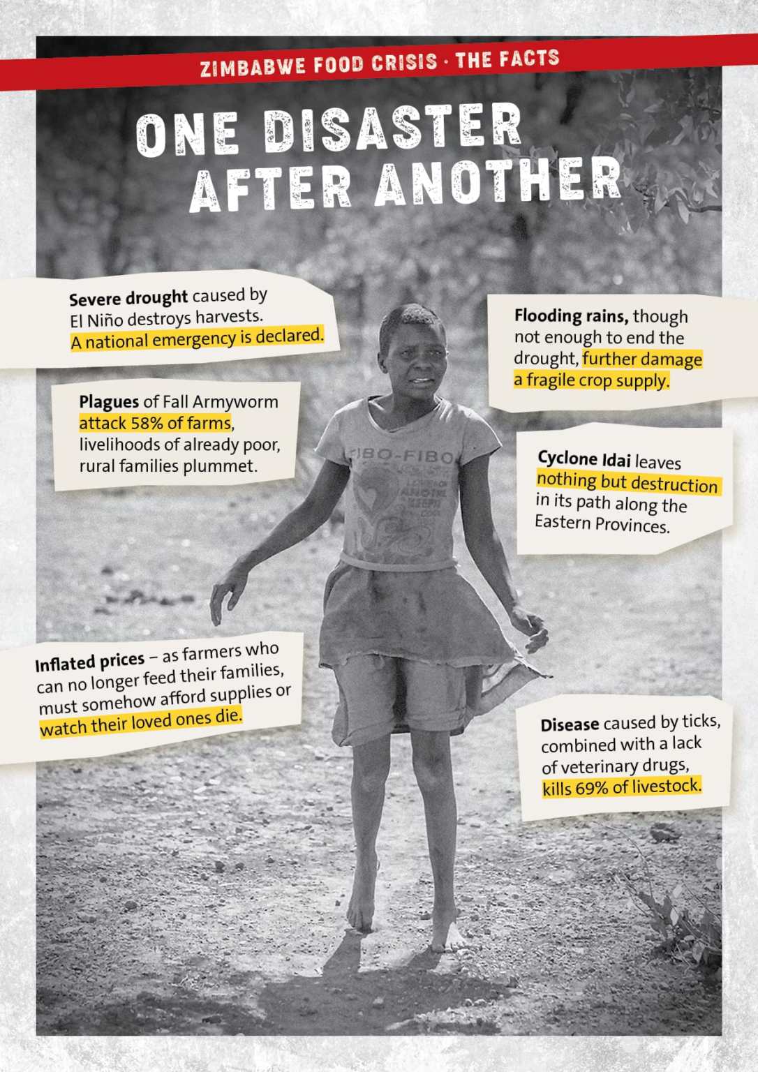 Zimbabwe Food Crisis The Facts Cbm Australia