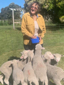 CBM supporter Jacqui Kuiters on her farm feeding her lambs.