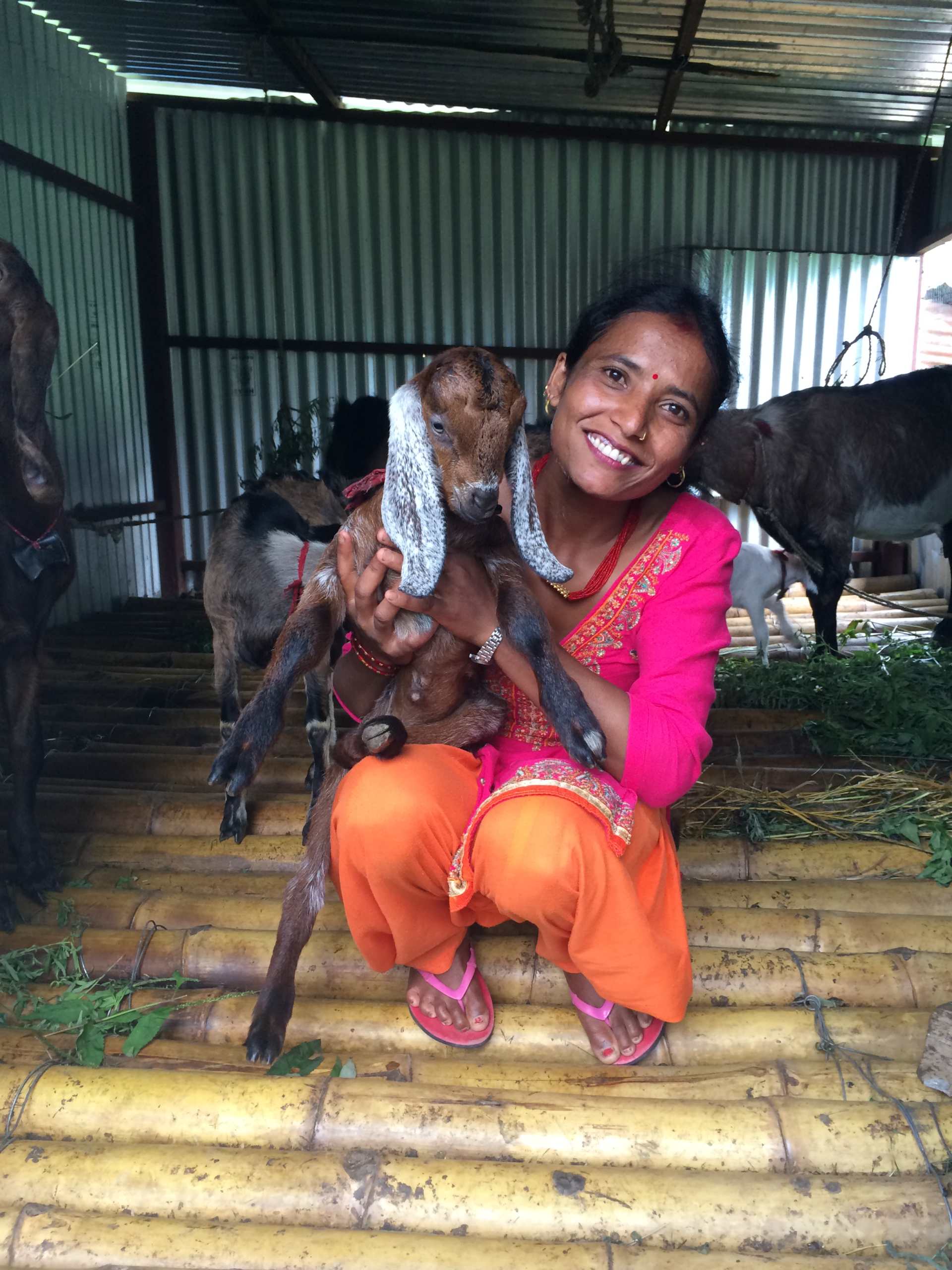 These goats are not only cute but provide people like Maiya with their livelihood.