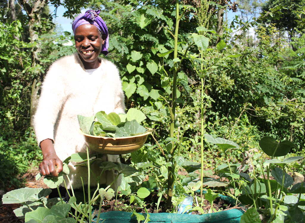 An OPD member proudly tends her thriving vegetable garden.