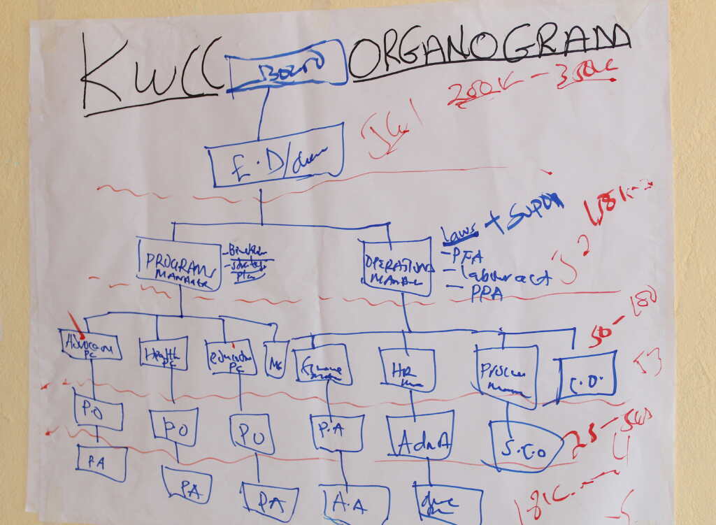 A visual snapshot of how an OPD is structured and connected.